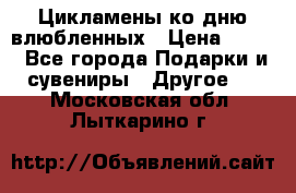 Цикламены ко дню влюбленных › Цена ­ 180 - Все города Подарки и сувениры » Другое   . Московская обл.,Лыткарино г.